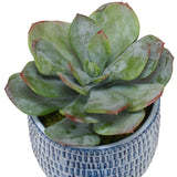 Puebla Blue/White Greenery In Pots (Set of 3)