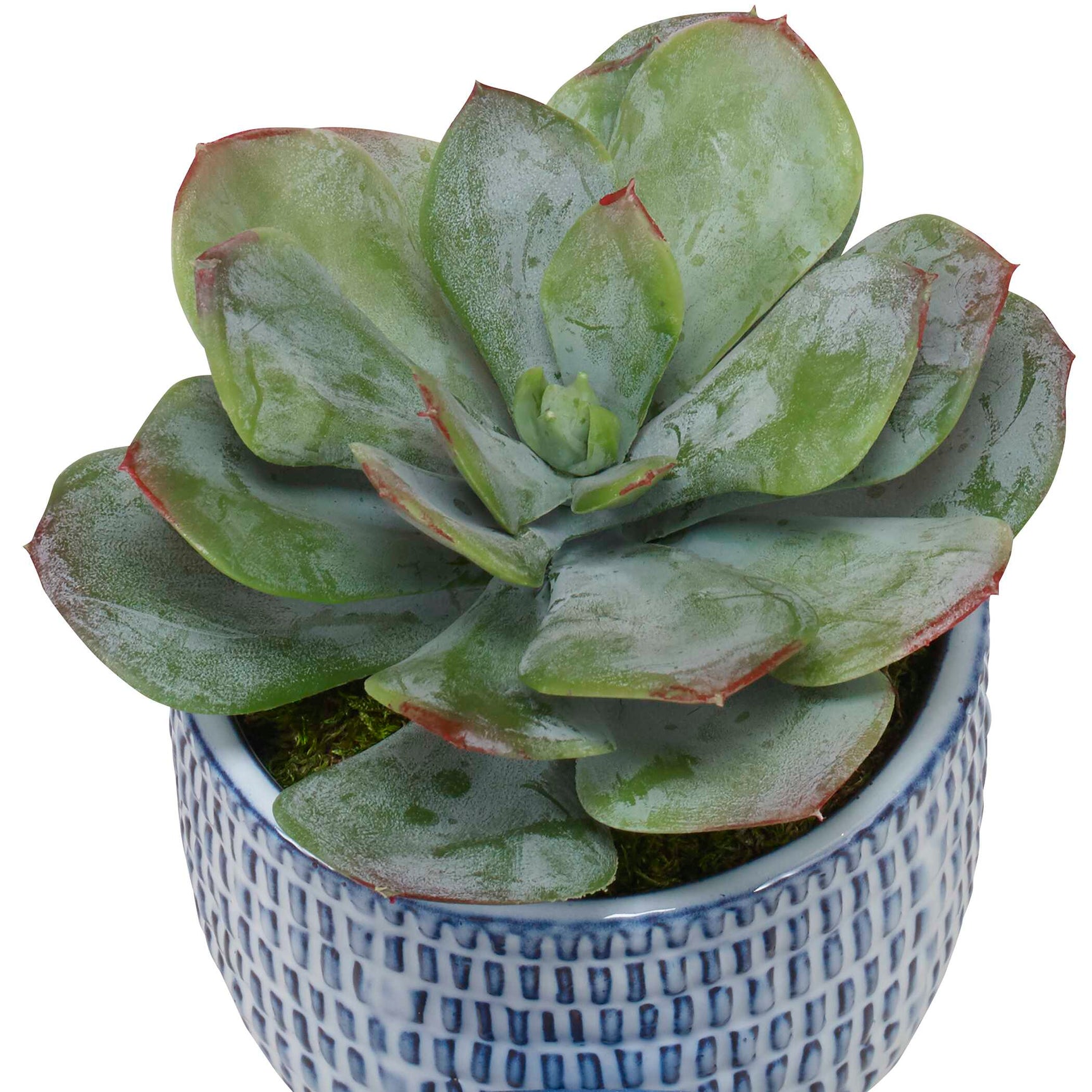 Puebla Blue/White Greenery In Pots (Set of 3)