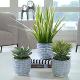 Puebla Blue/White Greenery In Pots (Set of 3)