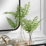 Country Green Ferns (Set of 2)