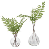 Country Green Ferns (Set of 2)
