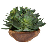 Yuma Green Succulent Wood Bowl Centerpiece