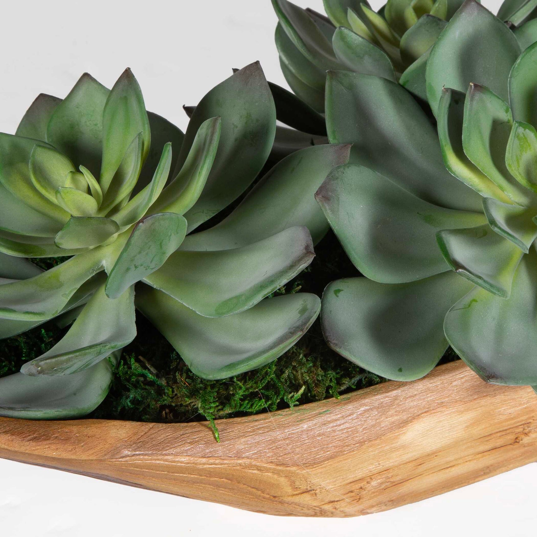 Yuma Green Succulent Wood Bowl Centerpiece