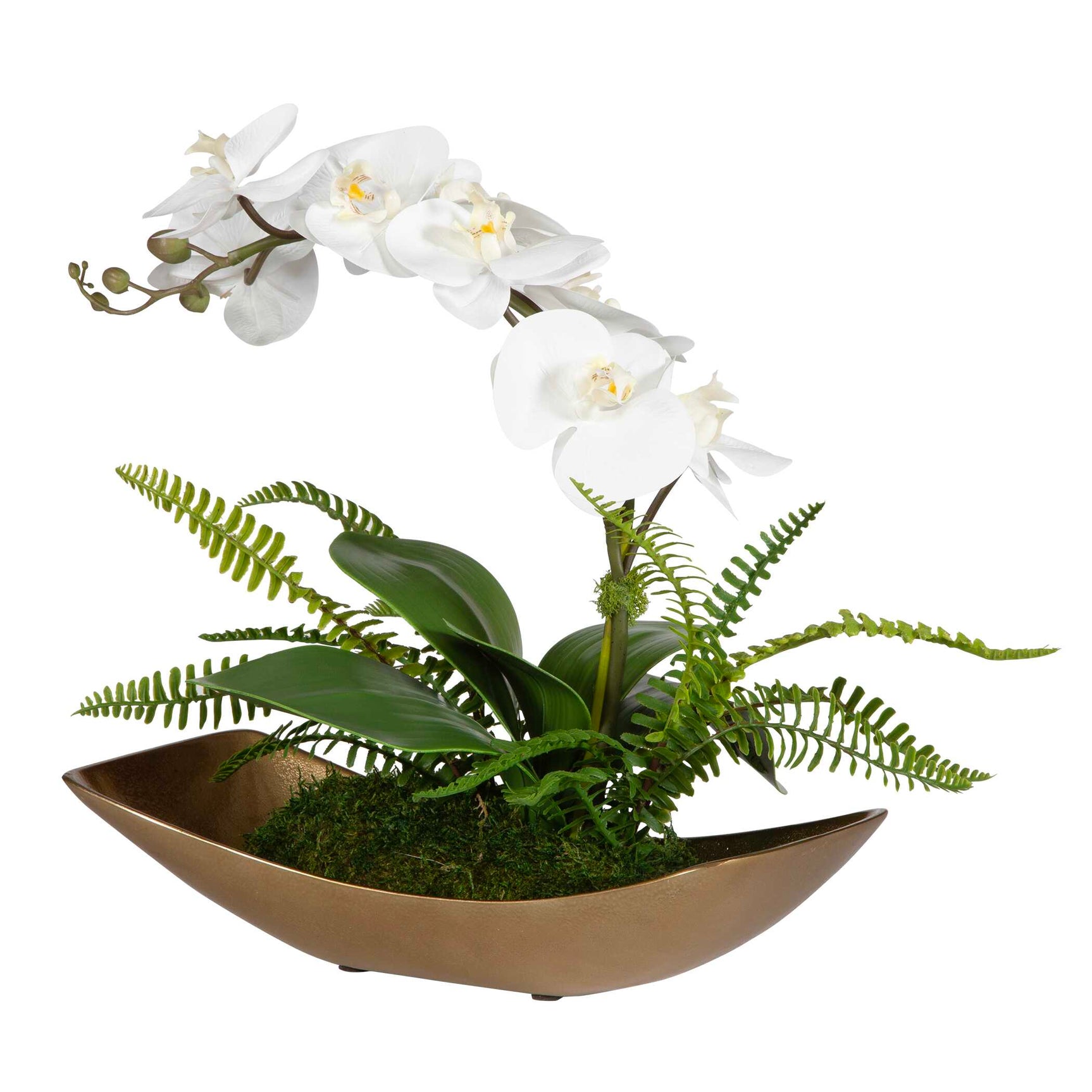 Transcend Brass/Green/White Orchid Centerpiece
