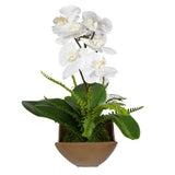 Transcend Brass/Green/White Orchid Centerpiece