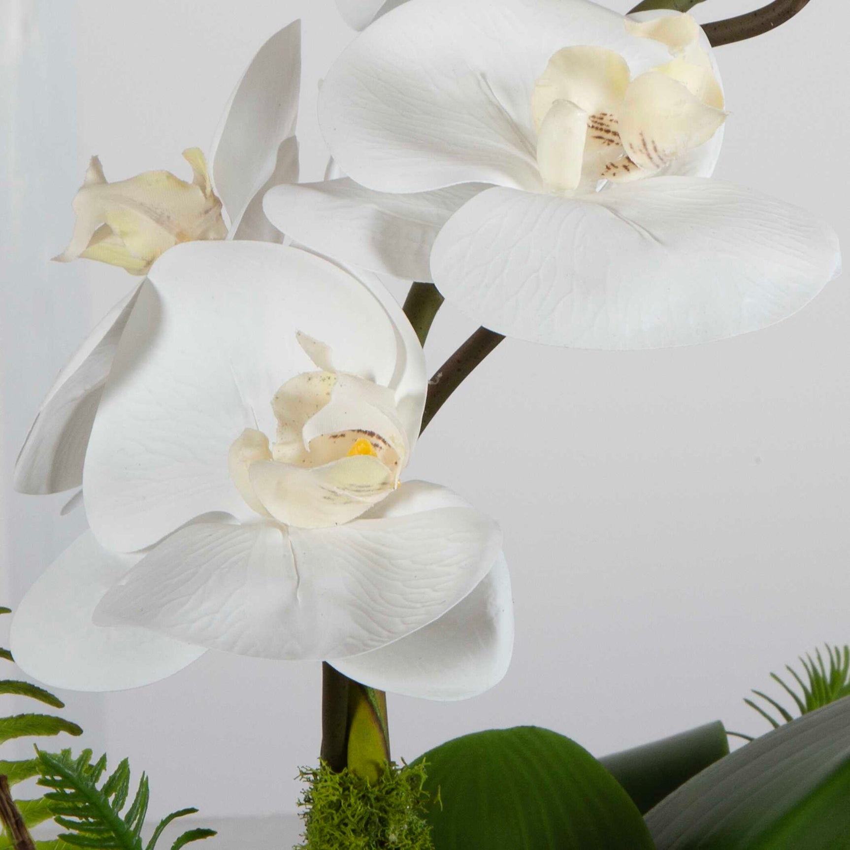 Transcend Brass/Green/White Orchid Centerpiece