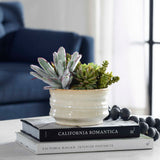 Mesa Succulent Green Accent