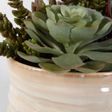 Mesa Succulent Green Accent