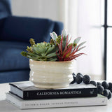 Mesa Succulent Green Accent