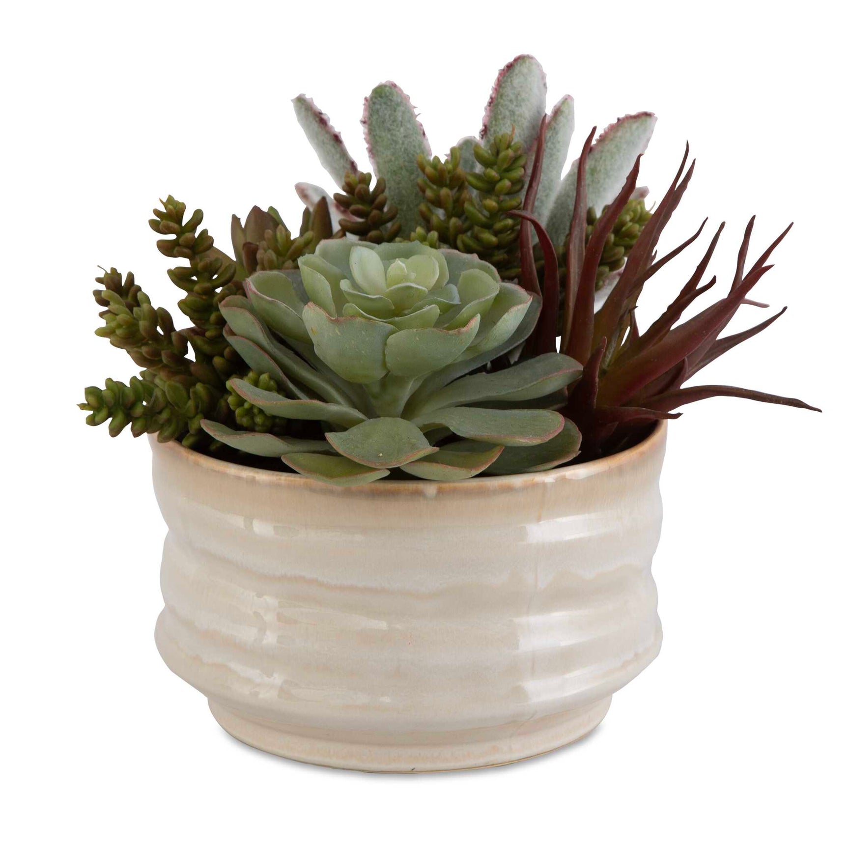 Mesa Succulent Green Accent