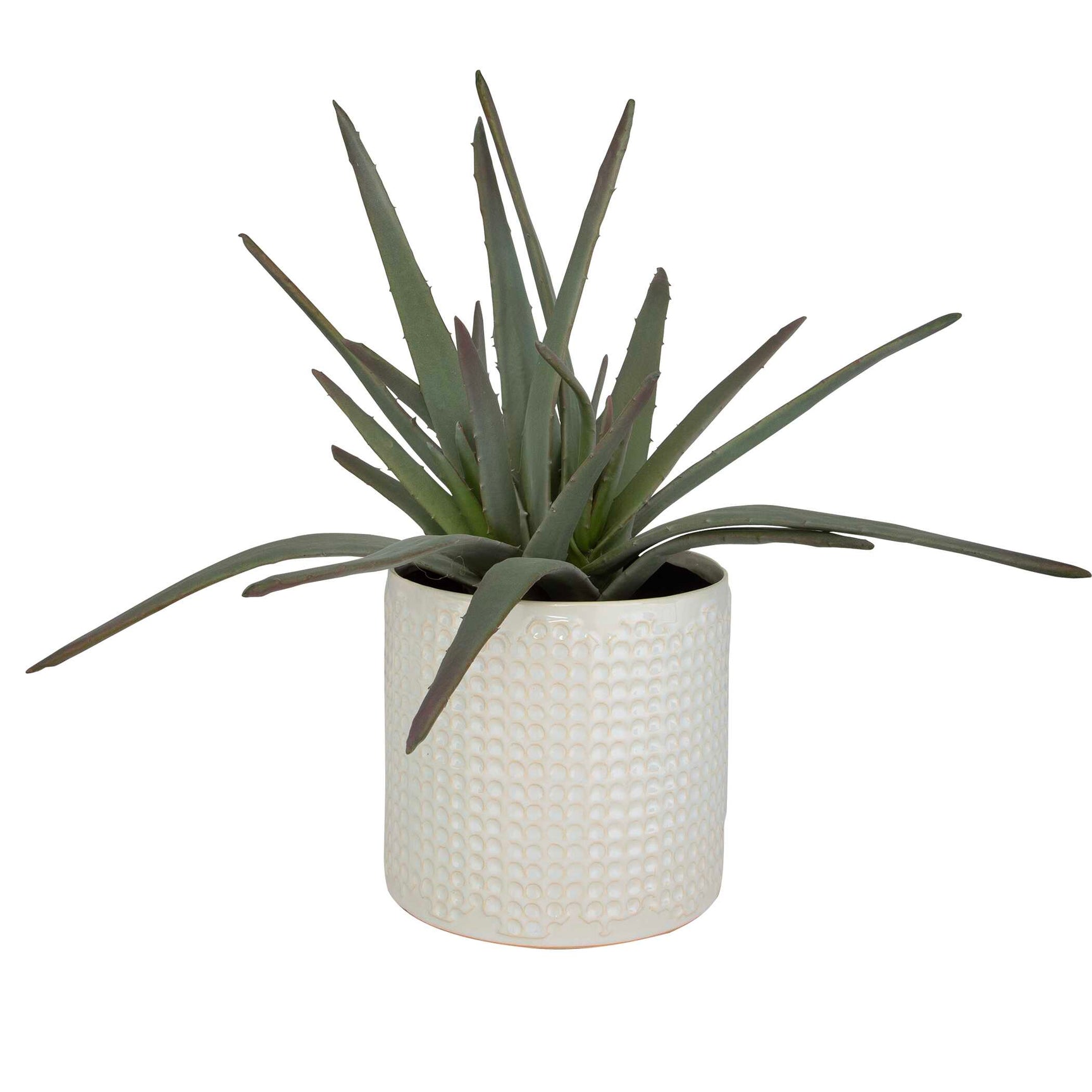 Taos Green/White Aloe Centerpiece