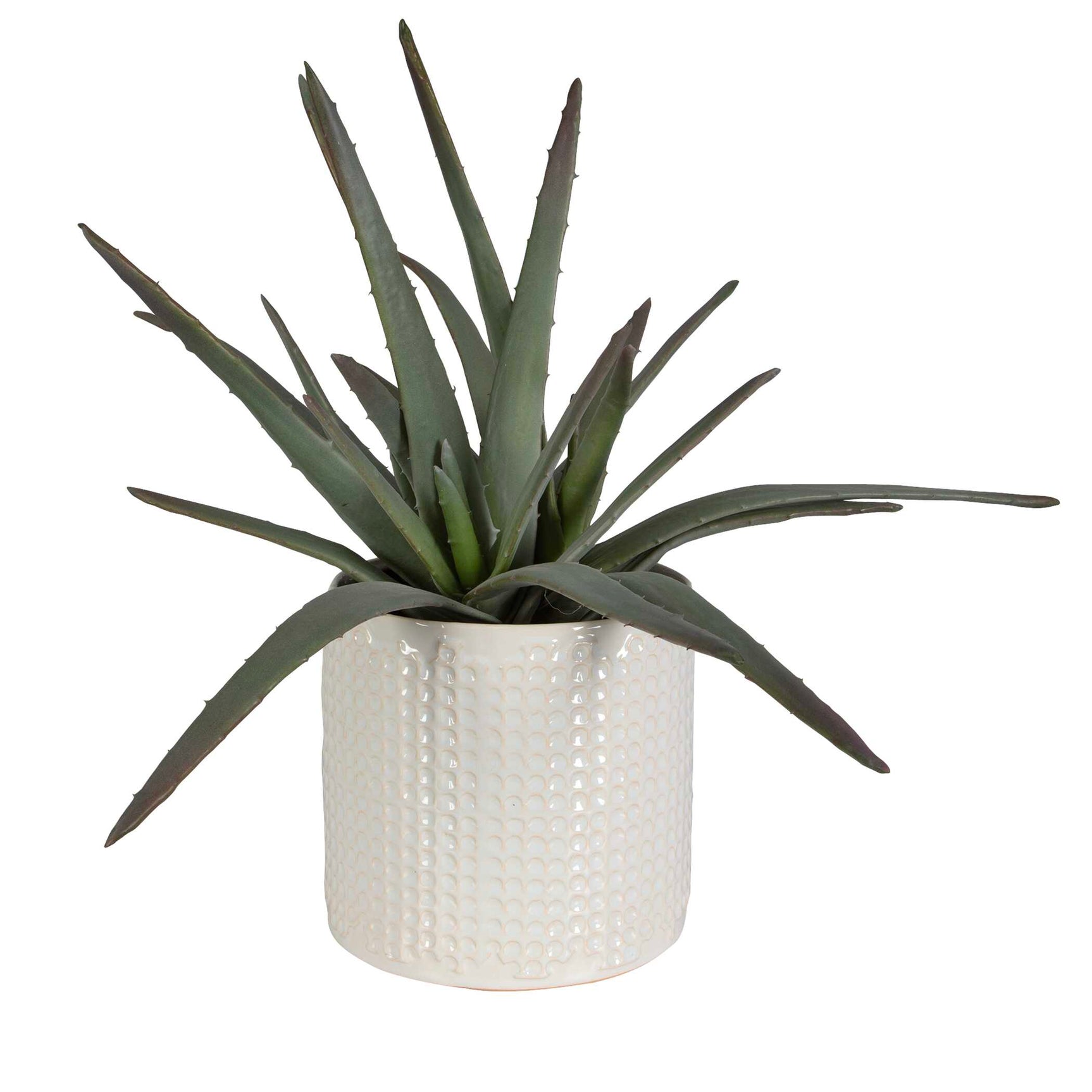 Taos Green/White Aloe Centerpiece