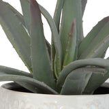 Taos Green/White Aloe Centerpiece