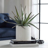 Taos Green/White Aloe Centerpiece