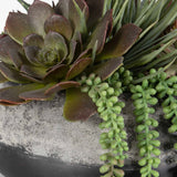 Yuma Green Succulent Iron Planter Centerpiece