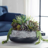 Yuma Green Succulent Iron Planter Centerpiece