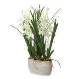 Ariana Orchid White Planter