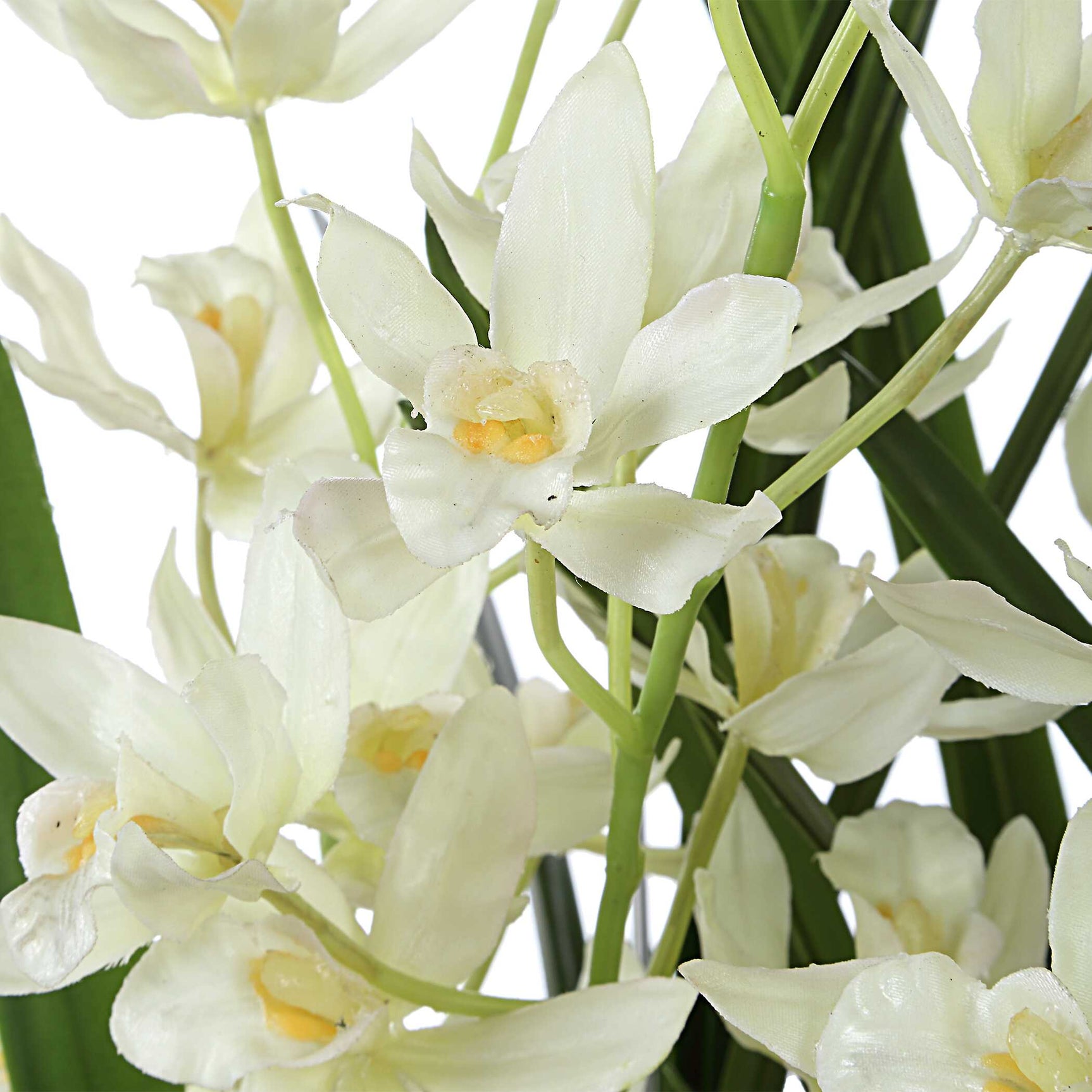 Ariana Orchid White Planter