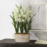 Ariana Orchid White Planter