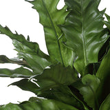 Verdure Fern Green Glazed Pot