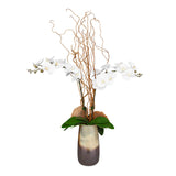 Earthbound Orchid Brown/White Vase
