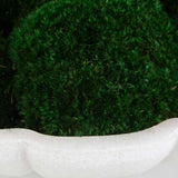 Awaken Moss Green/White Centerpiece