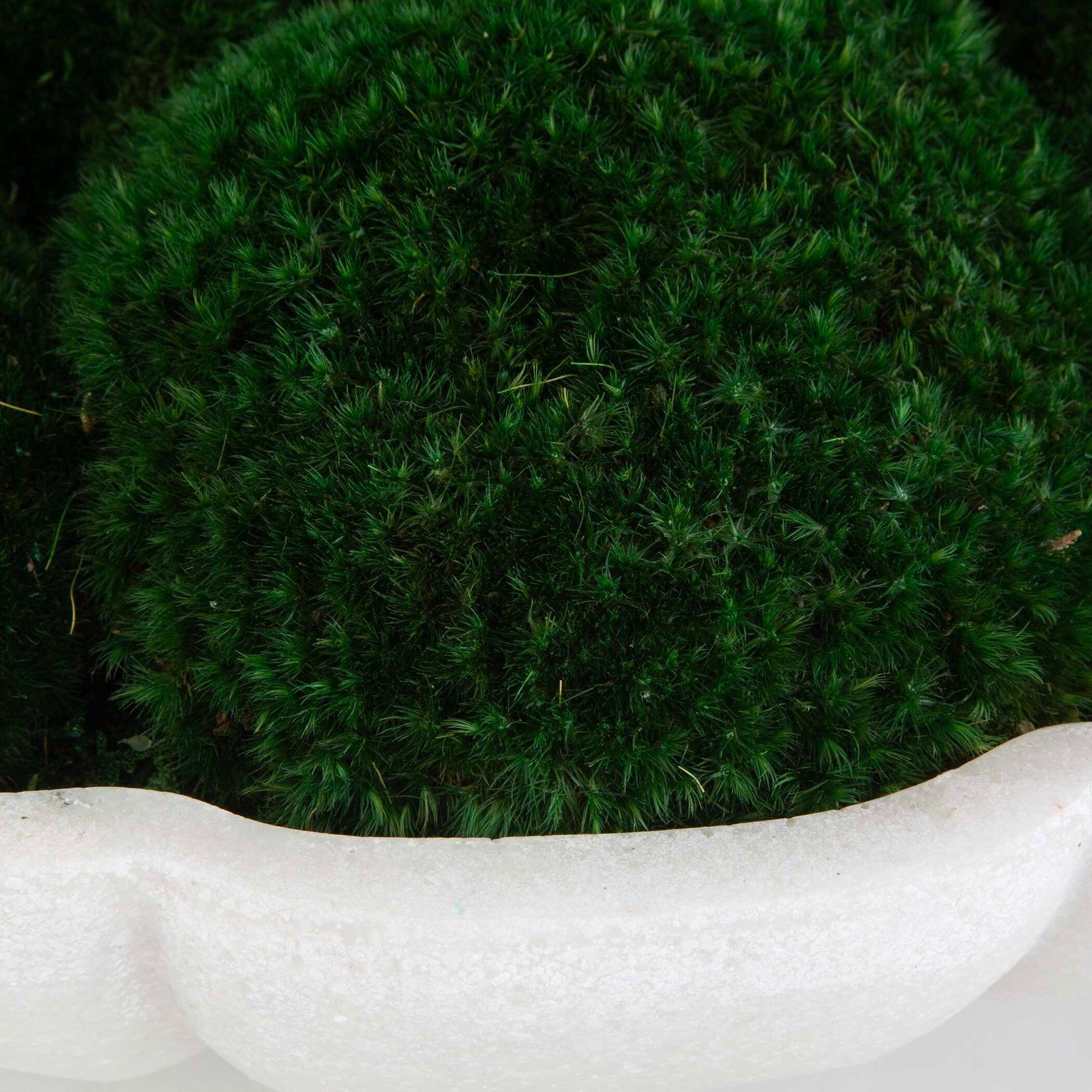 Awaken Moss Green/White Centerpiece