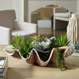Seaside Breeze Green Succulents