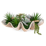 Seaside Breeze Green Succulents
