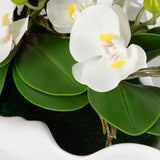 Opulence Orchid White Centerpiece With Bowl