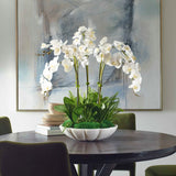 Flourish Orchid White Centerpiece
