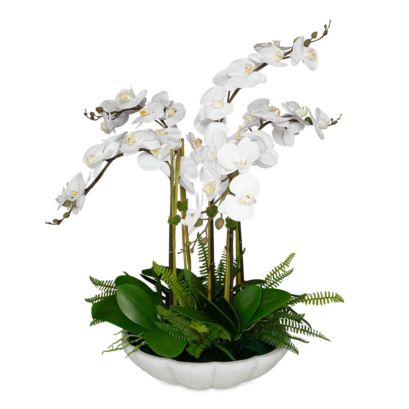Flourish Orchid White Centerpiece