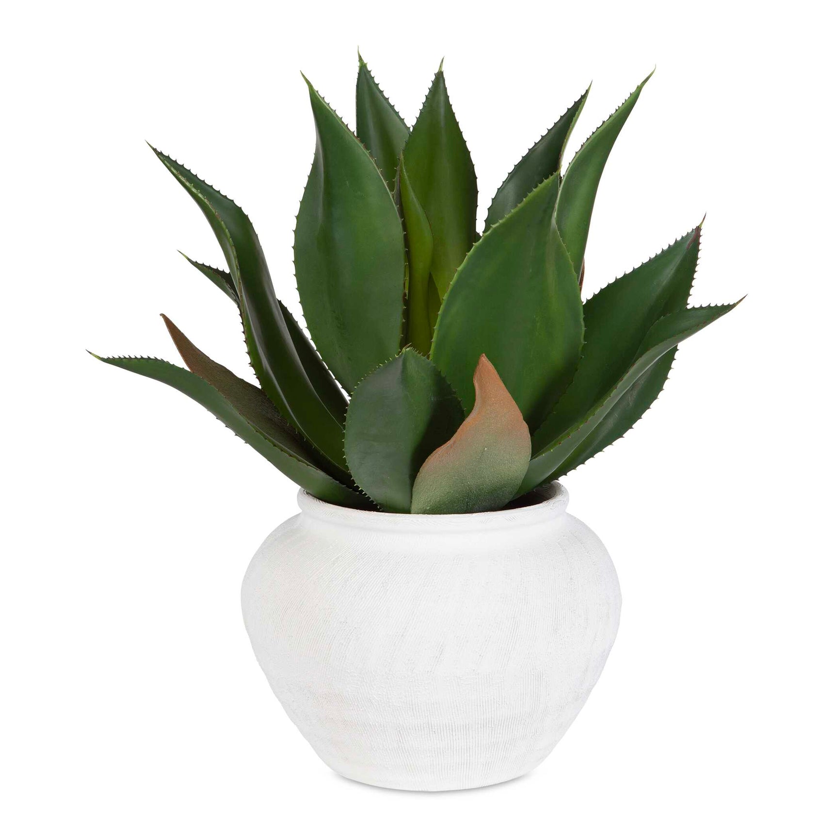Tierra Agave Green/White Centerpiece With Vase