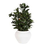 Elena Olive Green/White Centerpiece
