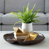 Boston Fern White Ceramic Pot