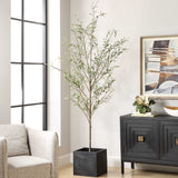 Abundance Olive Potted Tree