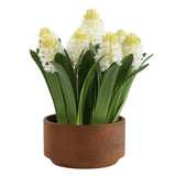 Sincerity Brown/Green/White Potted Hyacinth Plant