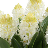 Sincerity Brown/Green/White Potted Hyacinth Plant