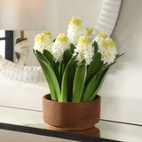 Sincerity Brown/Green/White Potted Hyacinth Plant