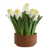 Sincerity Brown/Green/White Potted Hyacinth Plant