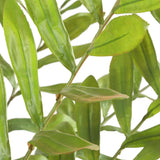 Zamia Green Palm Accent In Planter