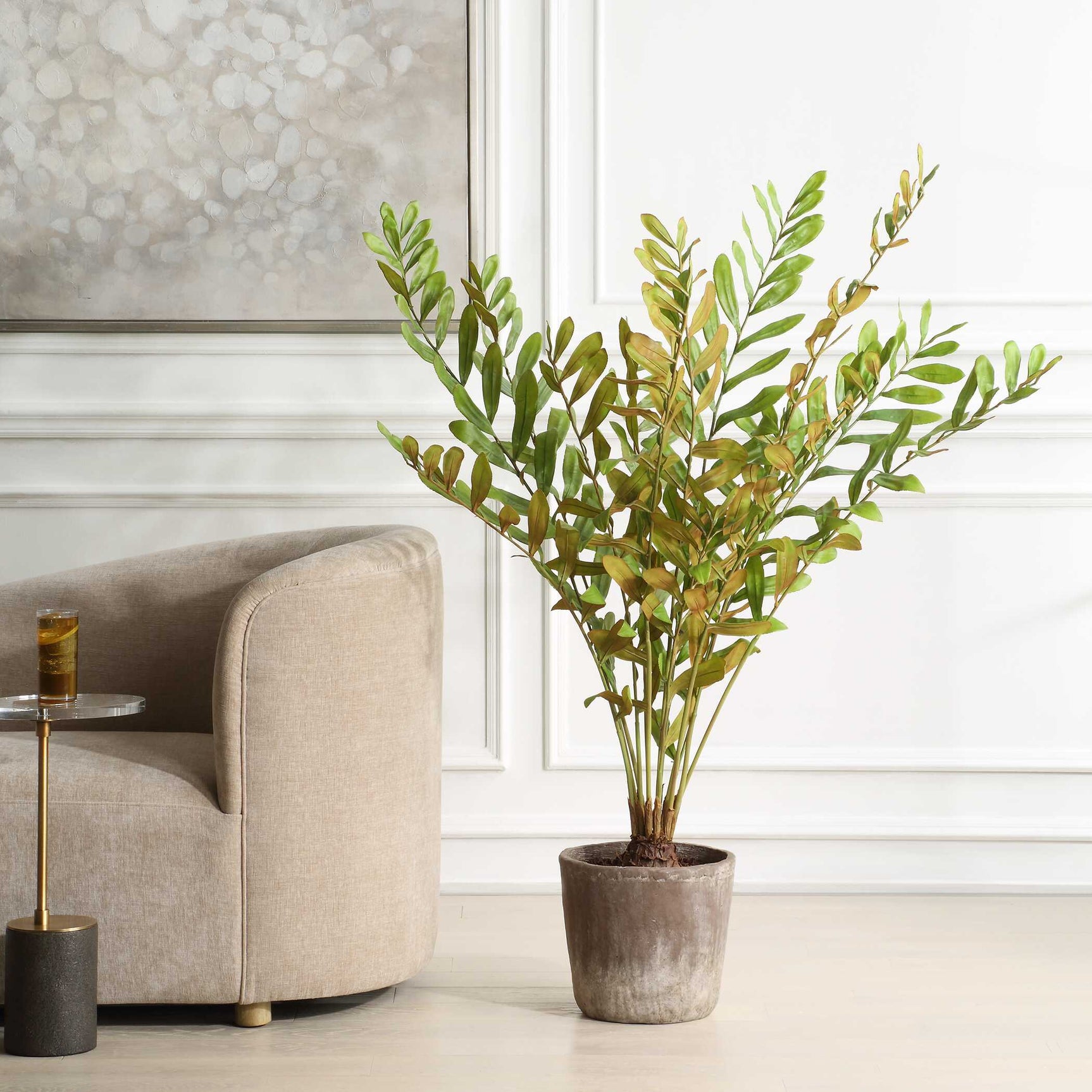 Zamia Green Palm Accent In Planter