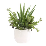 Sundown Succulent Green/White Accent Planter