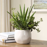 Sundown Succulent Green/White Accent Planter