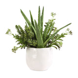Sundown Succulent Green/White Accent Planter