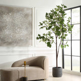 Eden Green Potted Fig Tree