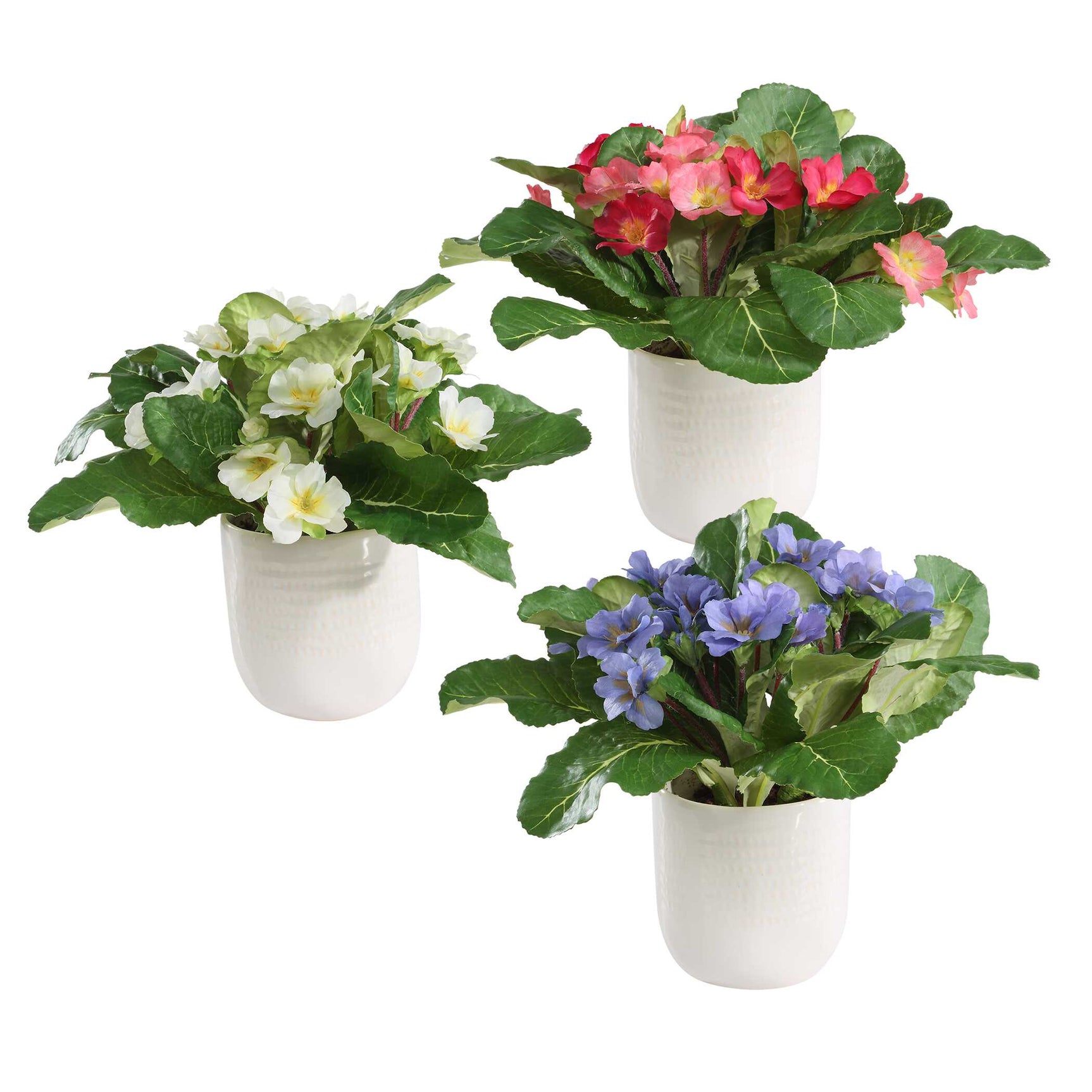 Trilogy Primrose Green/White Accents In Vases (Set of 3)