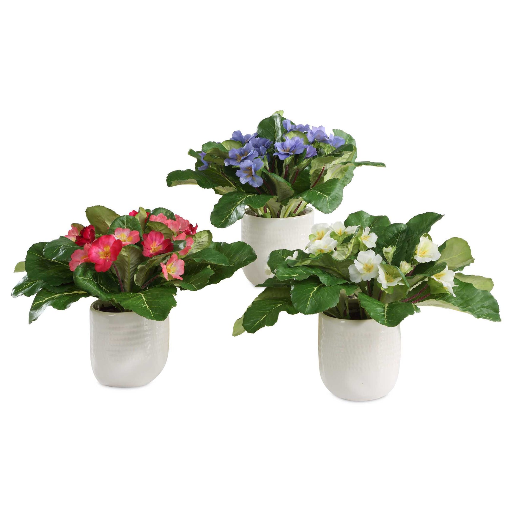 Trilogy Primrose Green/White Accents In Vases (Set of 3)