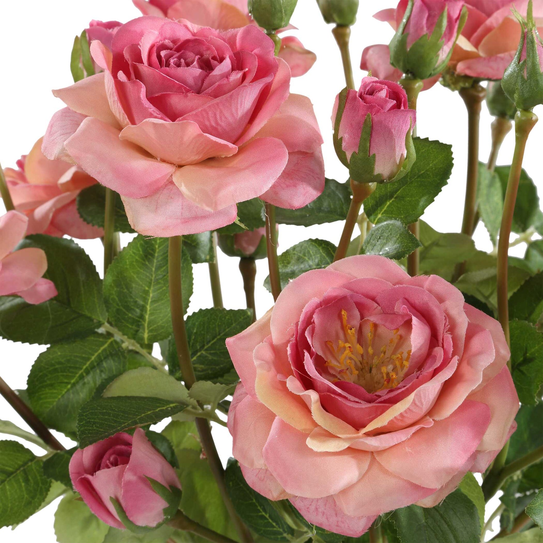 Adoration Rose Pink Bouquet