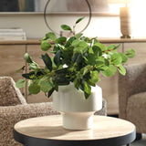 Essence Eucalyptus Green/White Accent & Vase